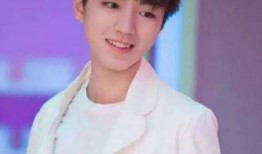 娱乐圈爆料王俊凯低血糖,娱乐圈爆料揭示明星健康危机