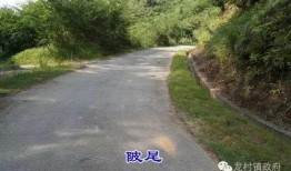 五华爆料新闻最新情况,最新进展揭示惊人真相！