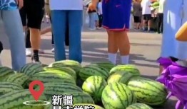 高校免费吃瓜网站,揭秘校园生活趣味瞬间